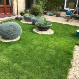 Techniques de taille pour maintenir un jardin esthétique et en bonne santé Les Mureaux